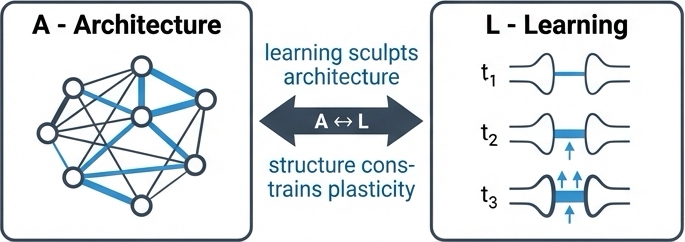 Diagram showing the relationship between Architecture and Learning